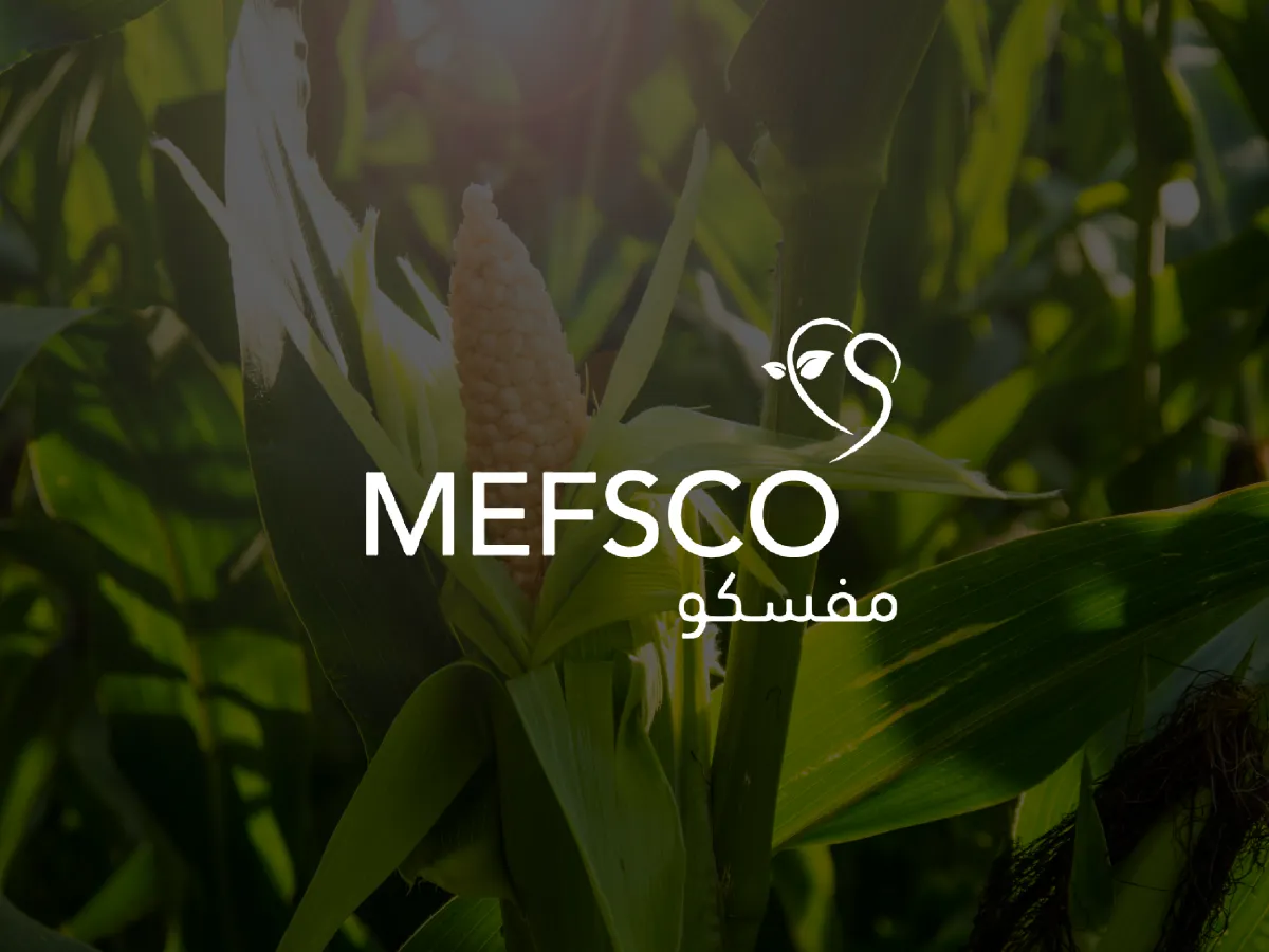 MEFSCO